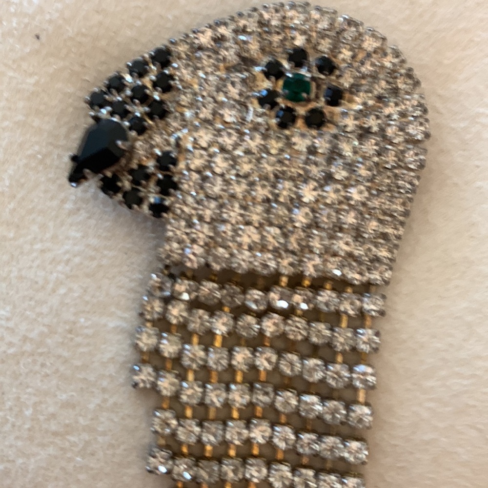 Sparkly Rhinestone Parrot Fringe Brooch - Picture 2 of 7